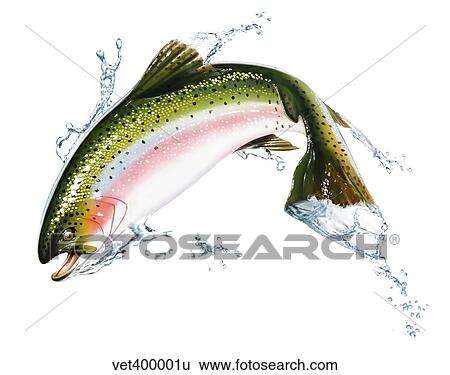 A pink salmon jumping out of the water. Stock Illustration | vet400001u