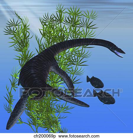 A Plesiosarus Dinosaur Of The Jurassic Era Stock Illustration Cfr0069p Fotosearch