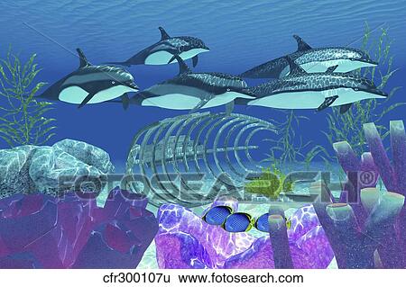 A pod of striped dolphins swim over an old boat wreck. View Large Illustration Stock Illustration - A pod of striped dolphins swim over an old boat wreck.. Fotosearch