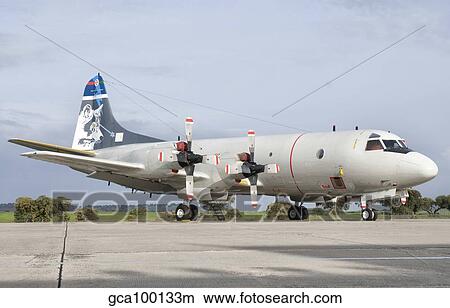 A Portuguese Air Force P-3C Cup Orion. View Large Photo Image Picture - A Portuguese Air Force P-3C Cup Orion.. Fotosearch