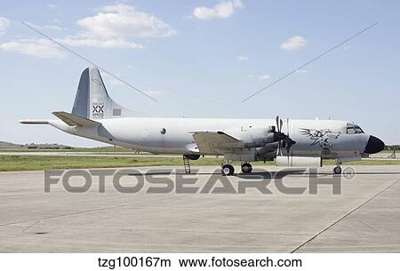 A Portuguese Air Force P-3C Orion. View Large Photo Image Picture - A Portuguese Air Force P-3C Orion.. Fotosearch