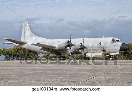 A Portuguese Air Force P-3P Orion at Beja Air Base, Portugal. View Large Photo Image Picture - A Portuguese Air Force P-3P Orion at Beja Air Base, Portugal.. Fotosearch