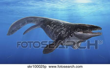 A Prognathodon saturator swimming in prehistoric waters. View Large Illustration Stock Illustration - A Prognathodon saturator swimming in prehistoric waters.. Fotosearch