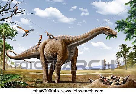 Stock Illustration - A Rapetosaurus feeding on leaves with Rahonavis on its back.. Fotosearch
