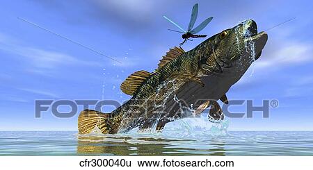 Stock Illustration - A Redeye Bass jumps but just misses a colorful dragonfly.. Fotosearch
