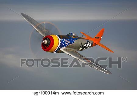 A Republic P-47D Thunderbolt in flight. View Large Photo Image Picture - A Republic P-47D Thunderbolt in flight.. Fotosearch