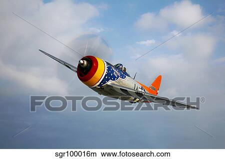 A Republic P-47D Thunderbolt in flight. View Large Photo Image Picture - A Republic P-47D Thunderbolt in flight.. Fotosearch