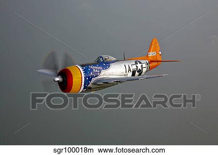 A Republic P-47D Thunderbolt in flight. View Large Photo Image Picture - A Republic P-47D Thunderbolt in flight.. Fotosearch