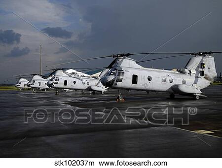 A row of CH-46 Sea Knights sit on the flight line. View Large Photo Image Picture - A row of CH-46 Sea Knights sit on the flight line.. Fotosearch