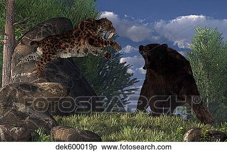 A saber-toothed cat leaps at a grizzly bear on a mountain path. View Large Illustration Stock Illustration - A saber-toothed cat leaps at a grizzly bear on a mountain path.. Fotosearch