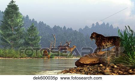 A saber-toothed cat looks across a river at a family of deer. View Large Illustration Stock Illustration - A saber-toothed cat looks across a river at a family of deer.. Fotosearch
