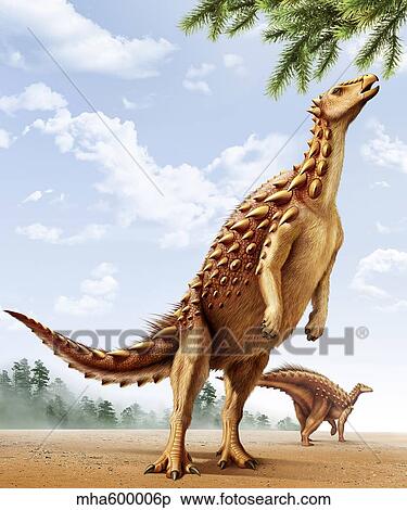 A Scelidosaurus standing on its hind legs eating conifer leaves. View Large Illustration Stock Illustration - A Scelidosaurus standing on its hind legs eating conifer leaves.. Fotosearch