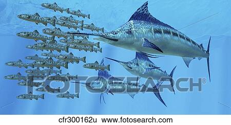 Stock Illustration - A school of Amemasu fish try to evade three large Marlin predators.. Fotosearch