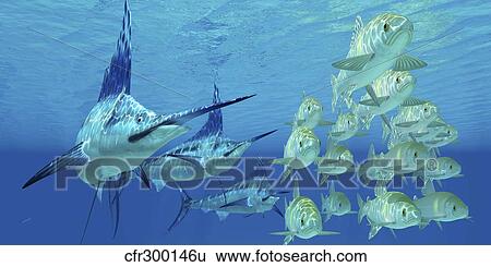 Stock Illustration - A school of Ayu fish try to escape from three carnivorous Blue Marlins.. Fotosearch