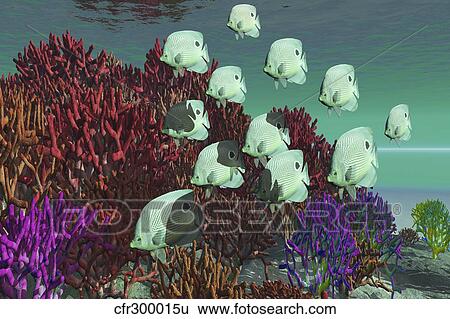 Stock Illustration - A school of butterflyfish swim over colorful coral.. Fotosearch