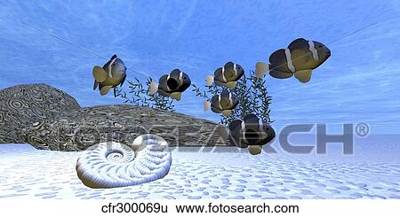 A school of clownfish swim on a beautiful sandy reef. View Large Illustration Stock Illustration - A school of clownfish swim on a beautiful sandy reef.. Fotosearch