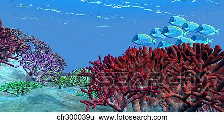 Stock Illustration - A school of iridescent Blue Tango fish.. Fotosearch