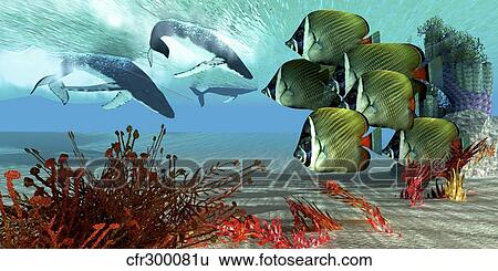 A school of Redtail Butterflyfish watch a group of humpback whales. View Large Illustration Stock Illustration - A school of Redtail Butterflyfish watch a group of humpback whales.. Fotosearch