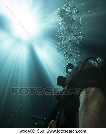 A scuba diver surfacing and looking up into the light. View Large Photo Image Stock Photograph - A scuba diver surfacing and looking up into the light.. Fotosearch