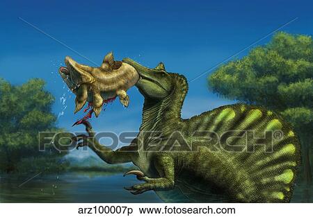 A Spinosaurus dinosaur fishing Mawsonias in a mangrove. View Large Illustration Stock Illustration - A Spinosaurus dinosaur fishing Mawsonias in a mangrove.. Fotosearch