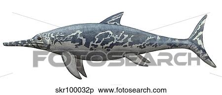 A Temnodontosaurus burgundiae from the Early Jurassic period. View Large Illustration Stock Illustration - A Temnodontosaurus burgundiae from the Early Jurassic period.. Fotosearch