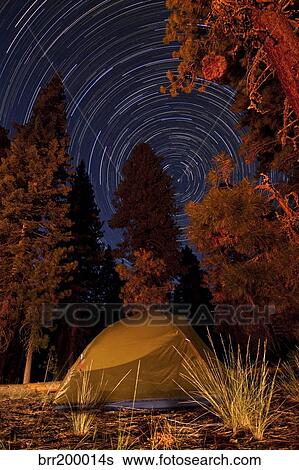 Stock Photograph - A tent and pine trees against a backdrop of star trails.. Fotosearch
