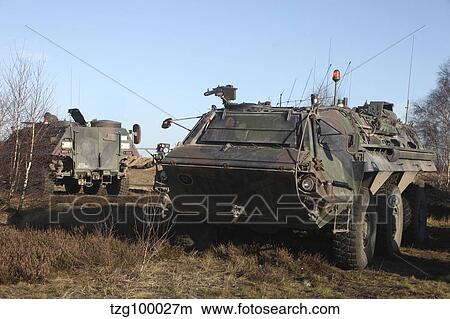 Picture - A TPz Fuchs armored personnel carrier of the German Army.. Fotosearch