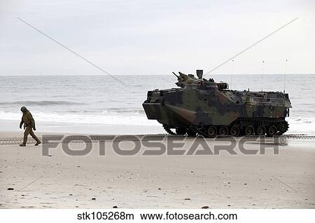 A U. S. Marine guides an amphibious assault vehicle on Onslow Beach. View Large Photo Image Picture - A U. S. Marine guides an amphibious assault vehicle on Onslow Beach.. Fotosearch