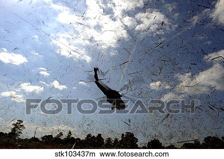 Picture - A U. S. Navy HH-60 Seahawk stirs up debris while taking off.. Fotosearch