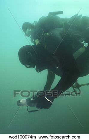 A U. S. Navy SEAL combat swimmer. View Large Photo Image Picture - A U. S. Navy SEAL combat swimmer.. Fotosearch