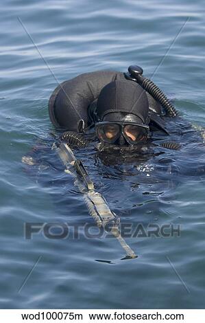 A U. S. Navy SEAL combat swimmer. View Large Photo Image Picture - A U. S. Navy SEAL combat swimmer.. Fotosearch
