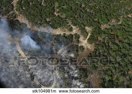 Picture - A wildfire burns land near Austin, Texas.. Fotosearch