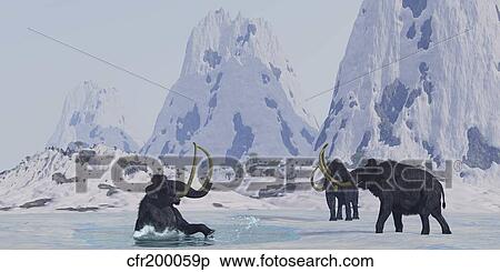 Stock Illustration - A Woolly Mammoth struggles for survival as he falls through ice on a frozen lake.. Fotosearch