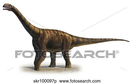 Abrosaurus dongpoi, a prehistoric era dinosaur. View Large Illustration Stock Illustration - Abrosaurus dongpoi, a prehistoric era dinosaur.. Fotosearch