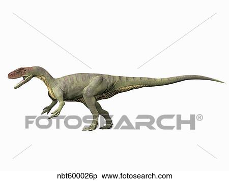 Afrovenator abakensis, Middle Jurassic of Niger. View Large Illustration Stock Illustration - Afrovenator abakensis, Middle Jurassic of Niger.. Fotosearch