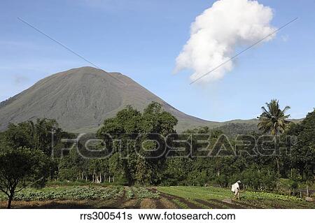Agriculture near Kinilow town at foot of Lokon-Empung volcano, Indonesia. View Large Photo Image Stock Photograph - Agriculture near Kinilow town at foot of Lokon-Empung volcano, Indonesia.. Fotosearch
