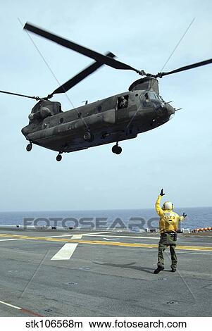 Airman directs an Army CH-47 Chinook helicopter on the flight deck. View Large Photo Image Picture - Airman directs an Army CH-47 Chinook helicopter on the flight deck.. Fotosearch
