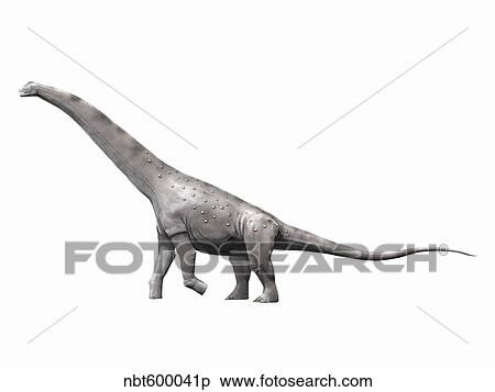 Alamosaurus sanjuanensis, a sauropod from the Late Cretaceous Period. View Large Illustration Stock Illustration - Alamosaurus sanjuanensis, a sauropod from the Late Cretaceous Period.. Fotosearch