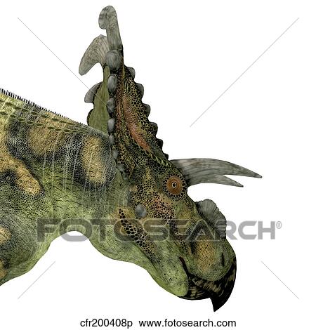 Albertaceratops dinosaur head. View Large Illustration Stock Illustration - Albertaceratops dinosaur head.. Fotosearch