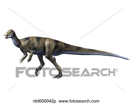 Albertadromeus syntarsus, Late Cretaceous of Canada. View Large Illustration Stock Illustration - Albertadromeus syntarsus, Late Cretaceous of Canada.. Fotosearch