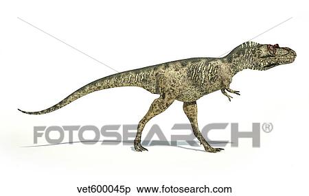 Stock Illustration - Albertosaurus dinosaur on white background.. Fotosearch