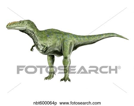 Alioramus dinosaur. View Large Illustration Stock Illustration - Alioramus dinosaur.. Fotosearch