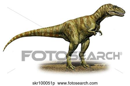 Alioramus remotus, a prehistoric era dinosaur. View Large Illustration Stock Illustration - Alioramus remotus, a prehistoric era dinosaur.. Fotosearch