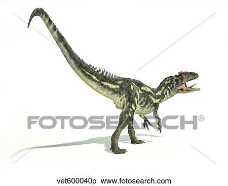 Allosaurus dinosaur on white background. View Large Illustration Stock Illustration - Allosaurus dinosaur on white background.. Fotosearch