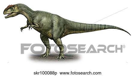 Allosaurus fragilis, a prehistoric era dinosaur. View Large Illustration Stock Illustration - Allosaurus fragilis, a prehistoric era dinosaur.. Fotosearch