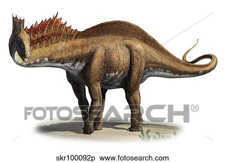Amargasaurus cazaui, a prehistoric era dinosaur. View Large Illustration Stock Illustration - Amargasaurus cazaui, a prehistoric era dinosaur.. Fotosearch