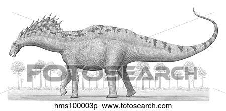 Amargasaurus cazaui dinosaur from the Early Cretaceous Period. View Large Illustration Stock Illustration - Amargasaurus cazaui dinosaur from the Early Cretaceous Period.. Fotosearch