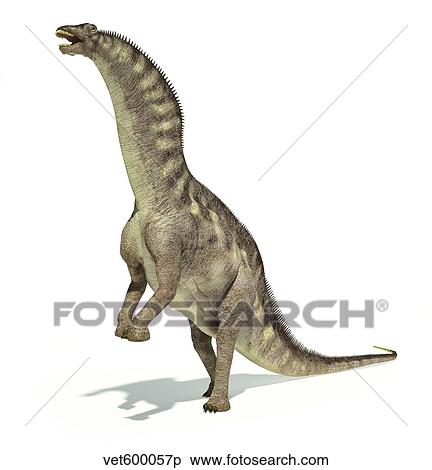Stock Illustration - Amargasaurus dinosaur in dynamic posture.. Fotosearch