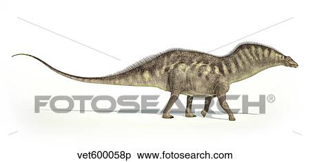 Amargasaurus dinosaur on white background. View Large Illustration Stock Illustration - Amargasaurus dinosaur on white background.. Fotosearch