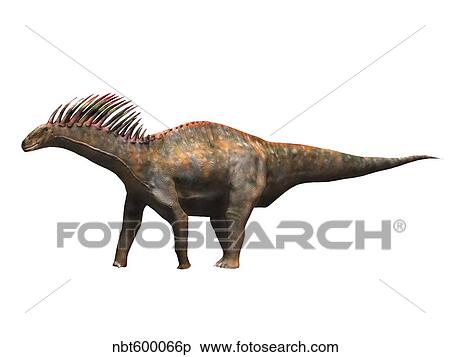 Stock Illustration - Amargasaurus dinosaur.. Fotosearch
